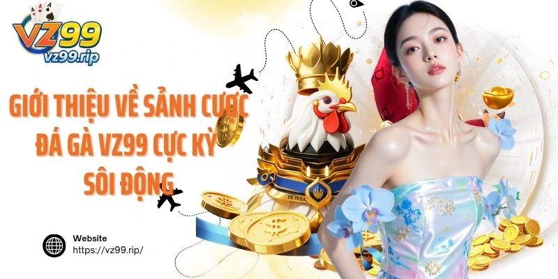 Giới thiệu về sảnh cược đá gà VZ99 cực kỳ sôi động