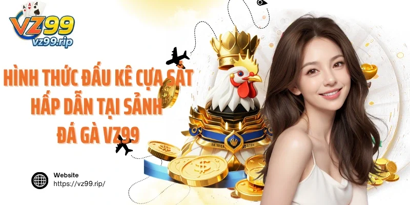 Hình thức đấu kê cựa sắt hấp dẫn tại sảnh đá gà VZ99