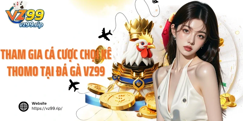 Tham gia cá cược chọi kê Thomo tại đá gà VZ99